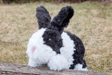 Load image into Gallery viewer, Odie the Bunny PDF Crochet Pattern by Crystal Bucholz
