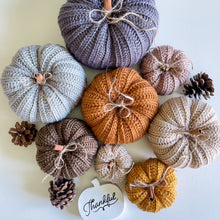 Load image into Gallery viewer, Country Harvest Ribbed Pumpkins PDF Crochet Pattern by Michelle Moore
